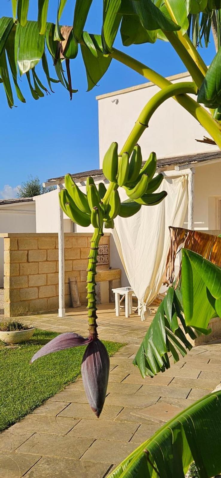 Tenuta Puloni Οτράντο Εξωτερικό φωτογραφία